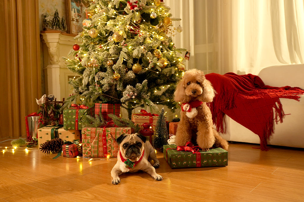 Two dogs receiving their Christmas gifts