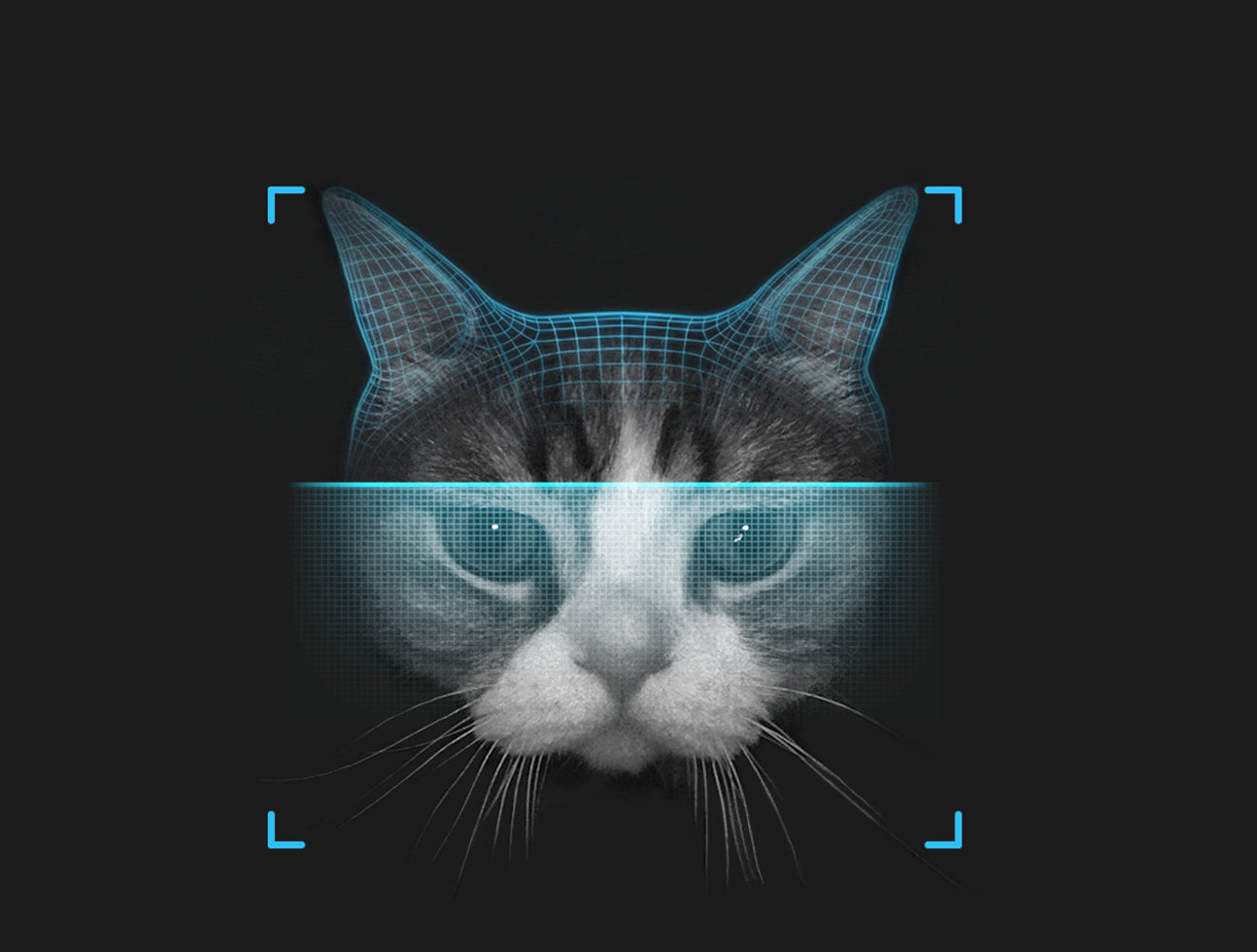 Edge AI: Why Your Cat’s Face Recognition Should Stay at Home