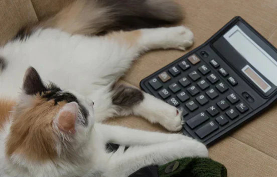 A fluffy calico cat lies on a couch with its paw resting on a large black calculator, as if doing calculations