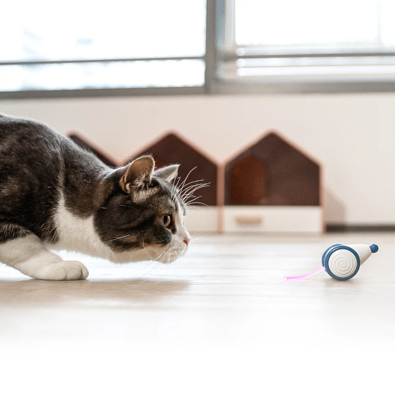 インタラクティブな猫のおもちゃ｜愛猫を幸せで健康に保ちましょう