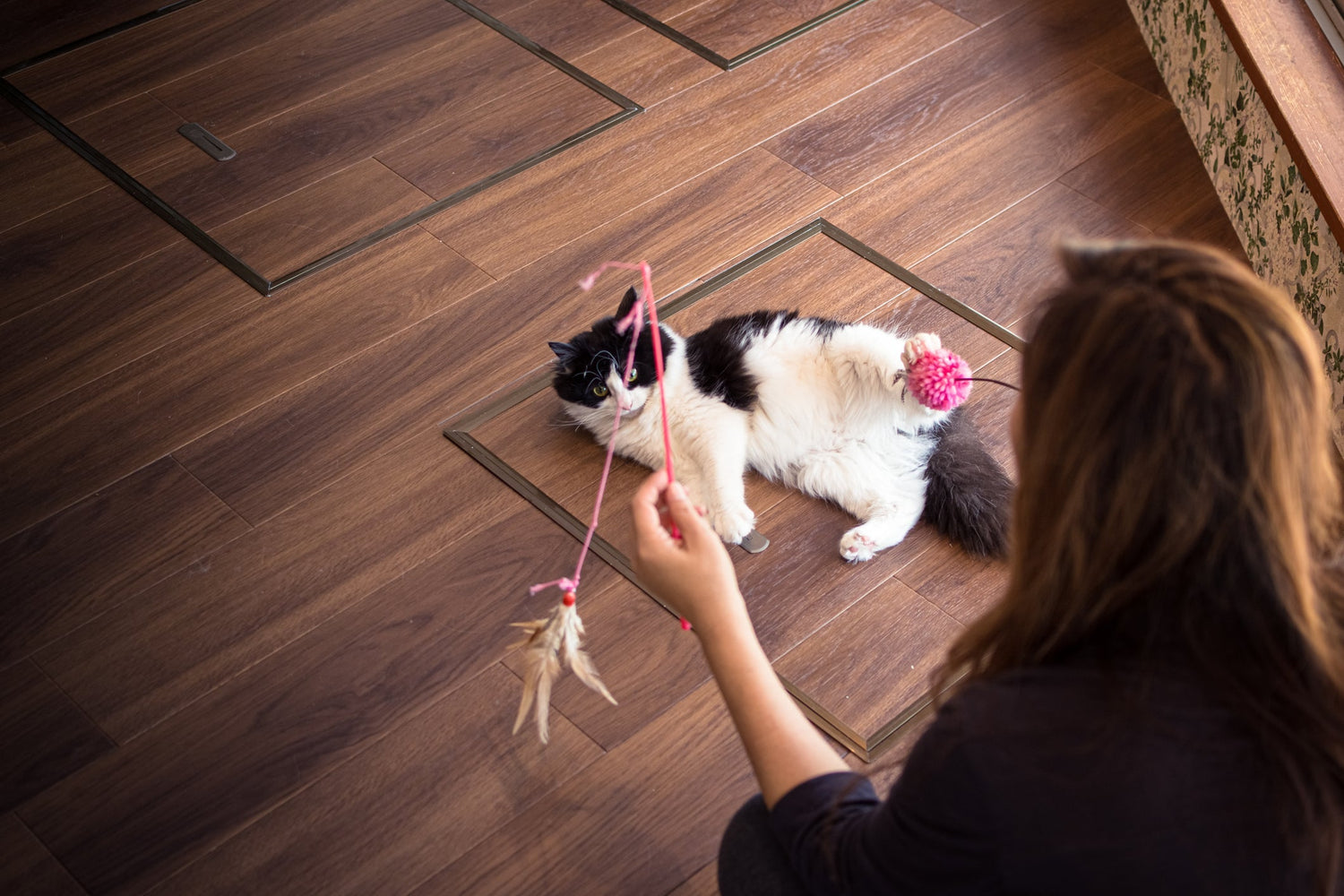 A cat enthusiastically play with human.