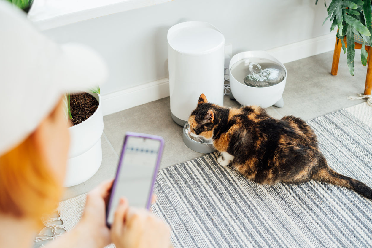 Smart feeders, especially Cheerble Match G1, is the future of smart pet tech.