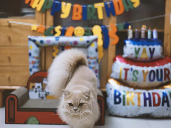 A fluffy cat celebrating its birthday with "Happy Birthday" banners and balloons, symbolizing a long and happy cat lifespan