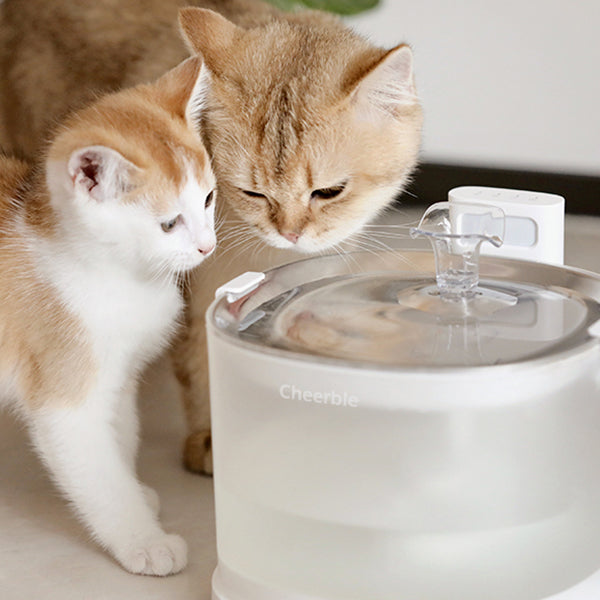 Pet Fountains