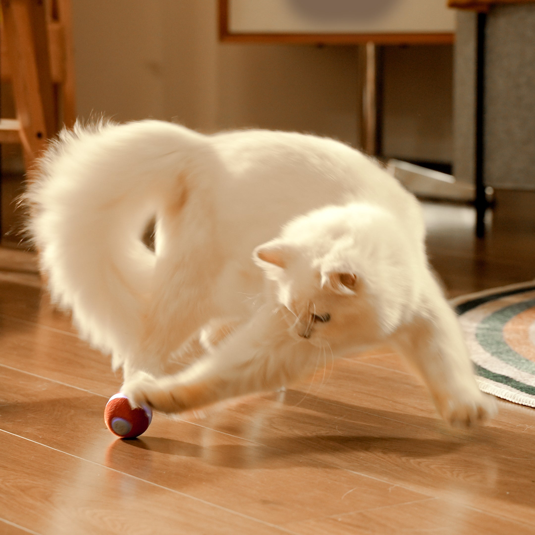 猫のおもちゃ: 楽しくインタラクティブなおもちゃ | 遊びの時間!