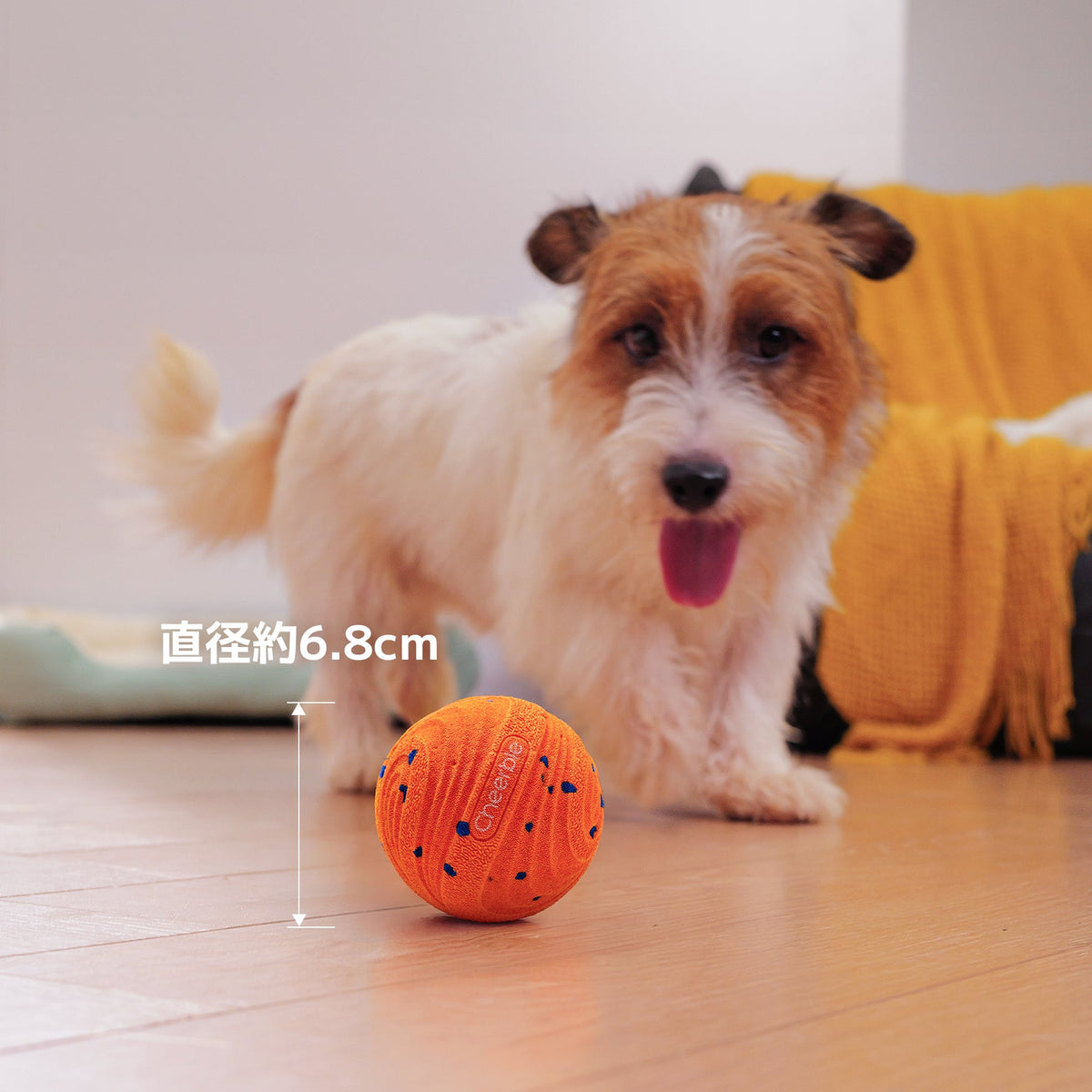 @ja #Color_Bright Orange
