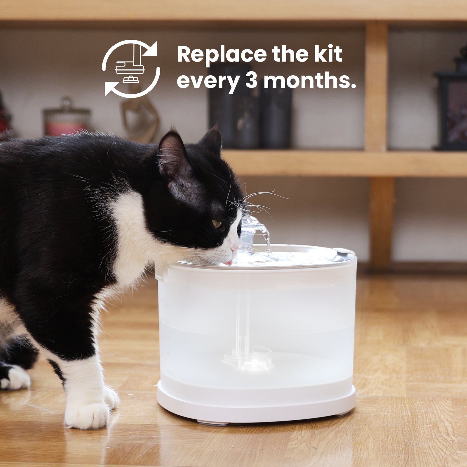 Pet Fountain Replacement Kit