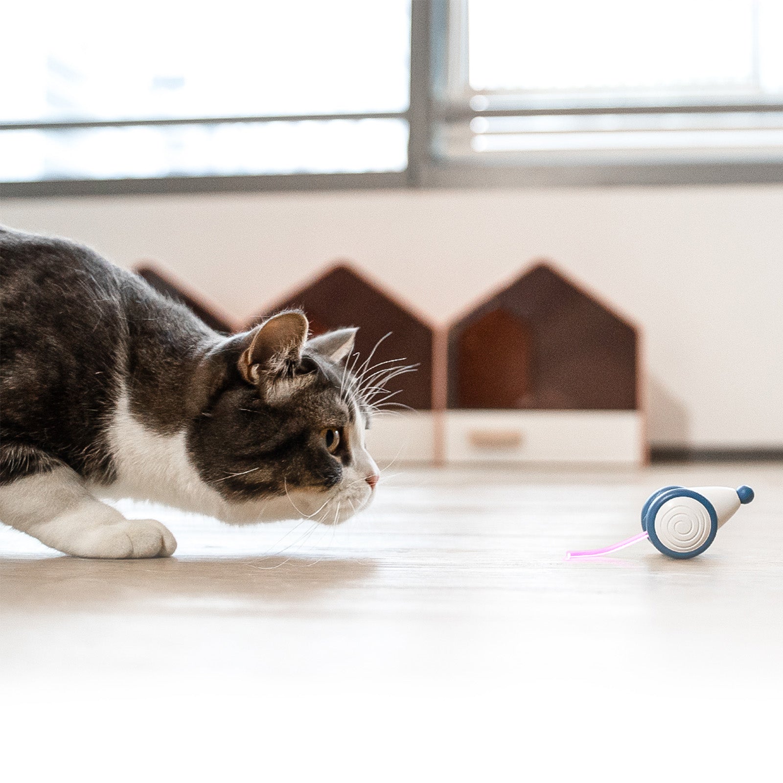 Cat playing with Wicked Mouse interactive toy