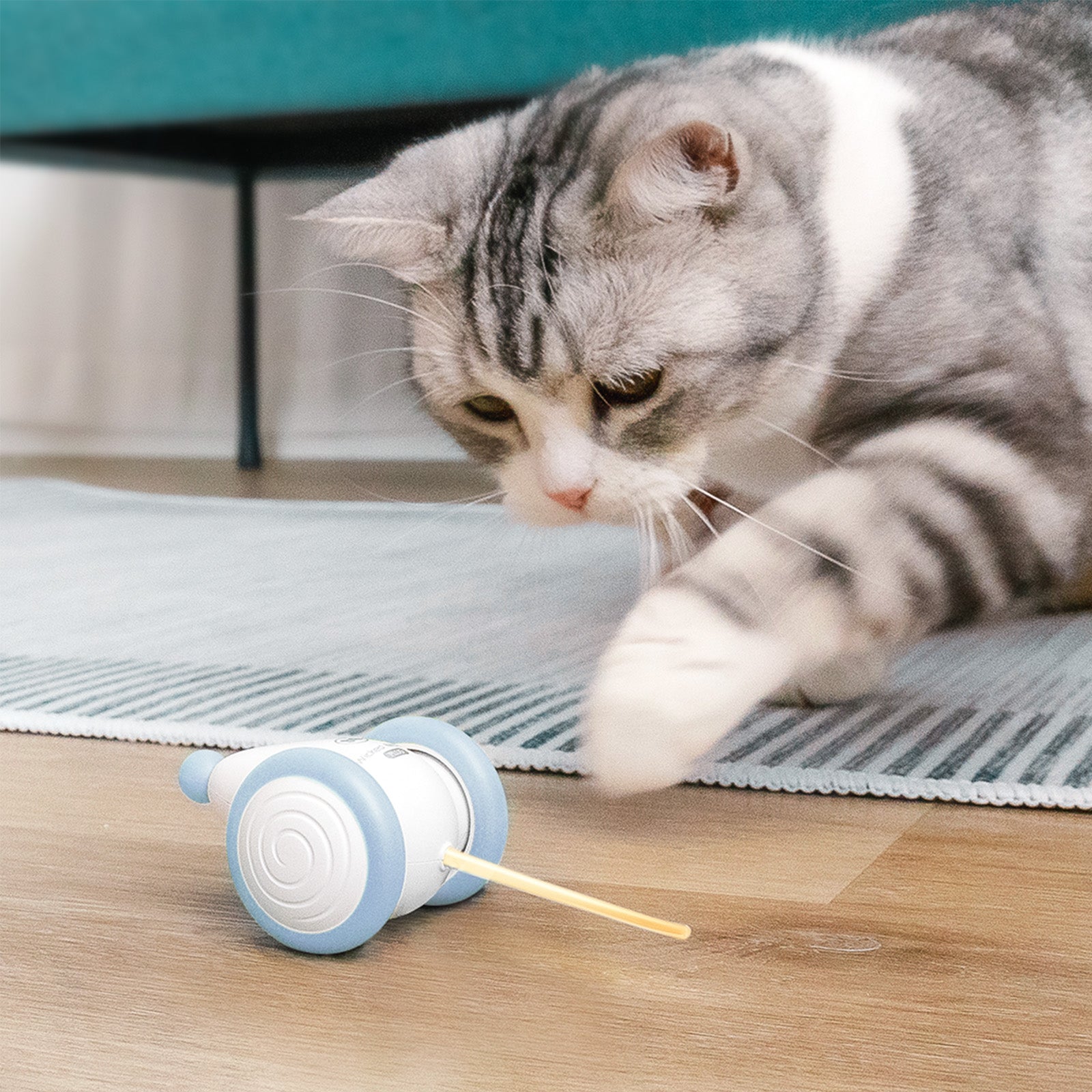 Cat playing with Cheerble Wicked Mouse PLUS toy