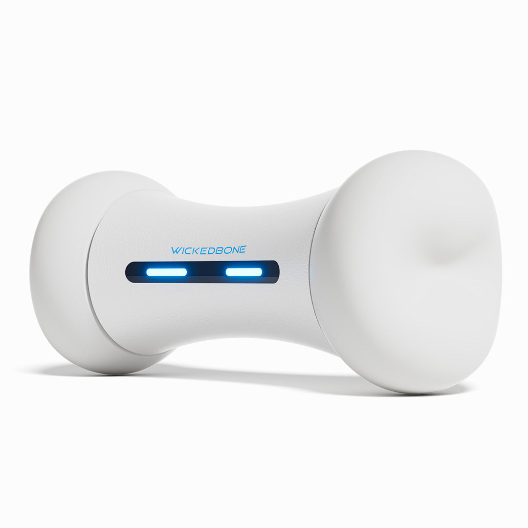 Wickedbone smart interactive dog toy with blue lights