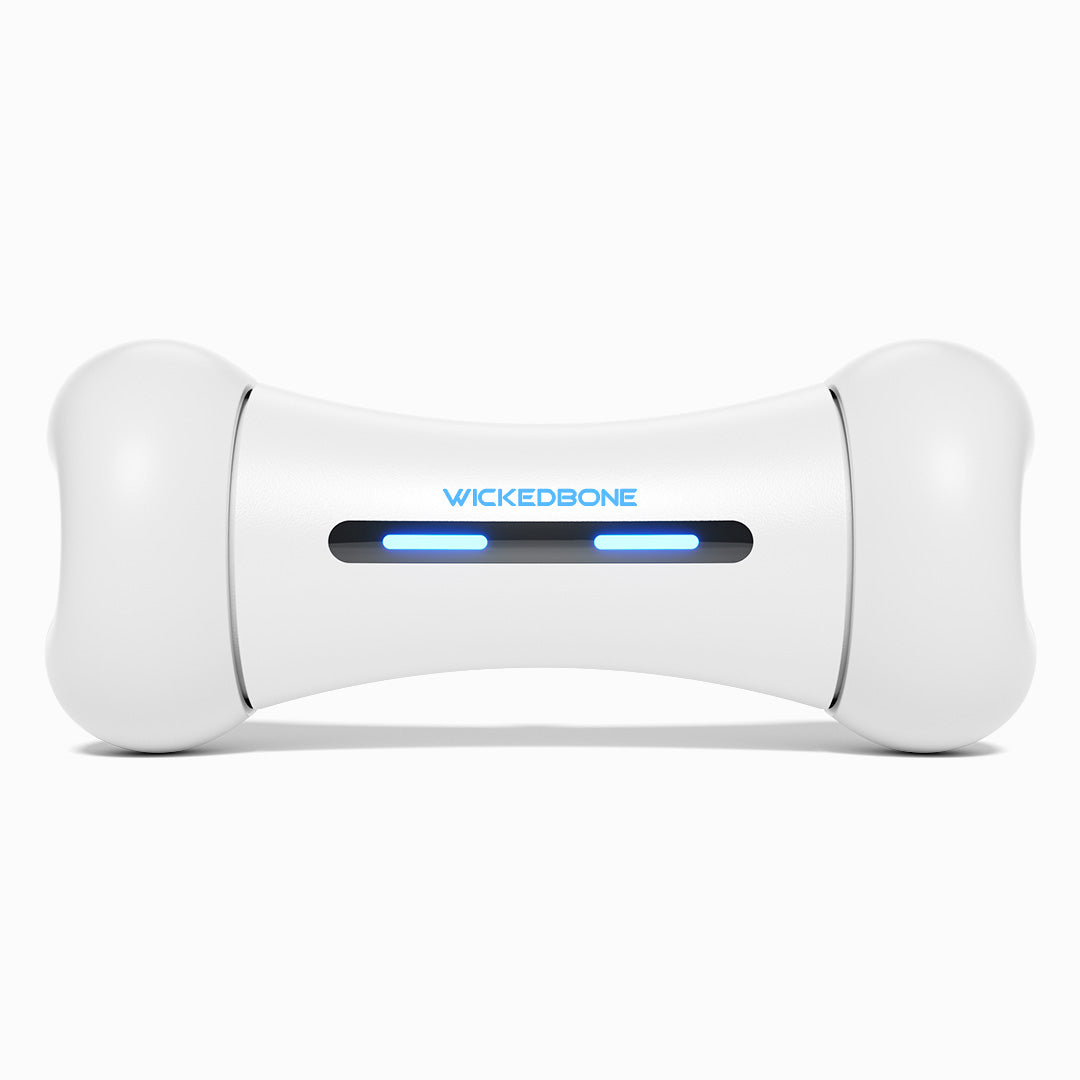 Wickedbone smart interactive dog toy