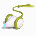 #Color_Apple Green