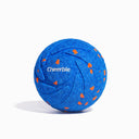 #Color_Royal Blue