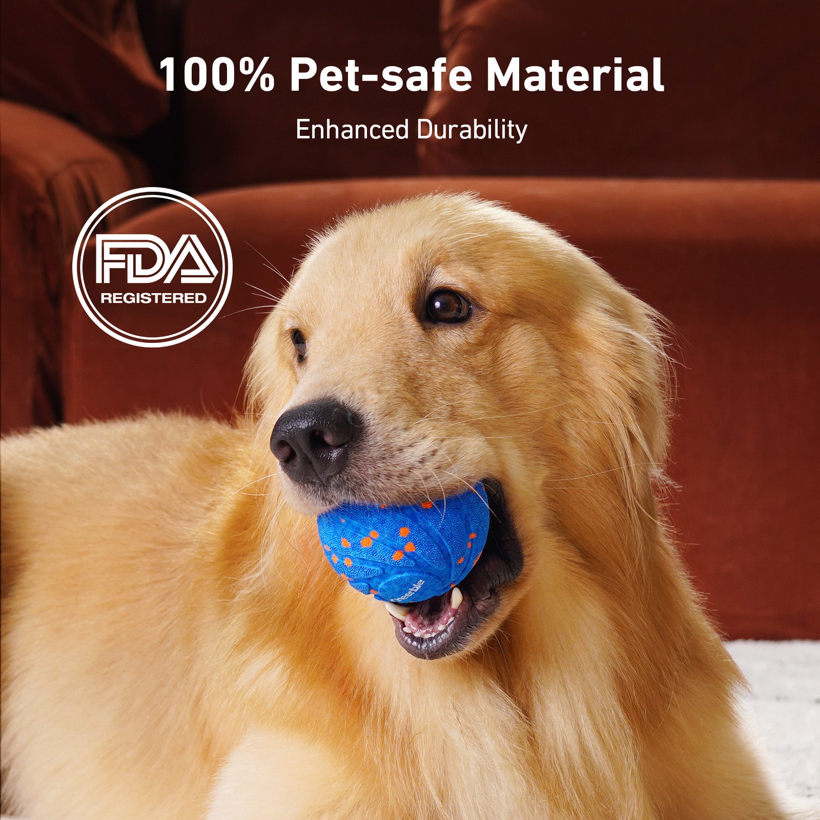 Golden Retriever with Wicked Ball Air - Pet-safe toy for dogs