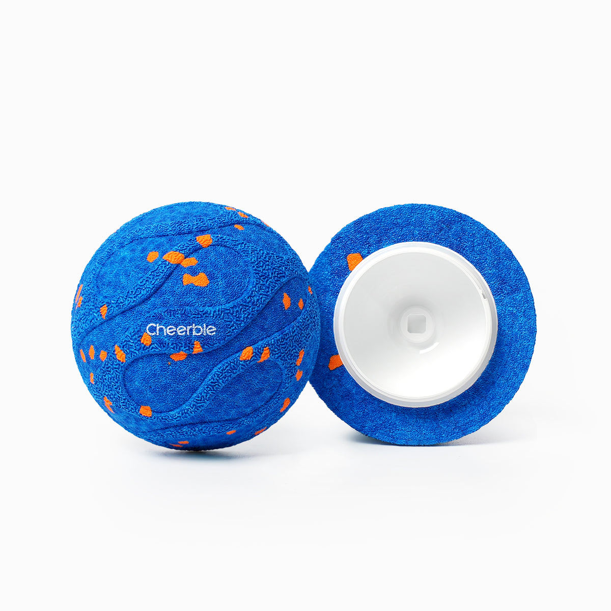 #Color_Royal Blue
