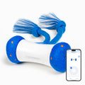 #Color_Royal Blue