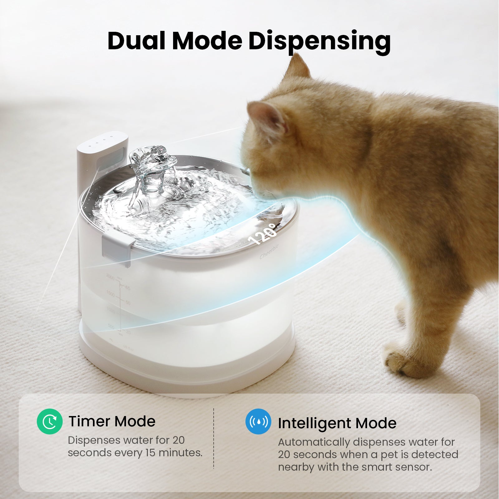 Cat drinking from Pet Fountain Elfin E1+ with timer and intelligent modes