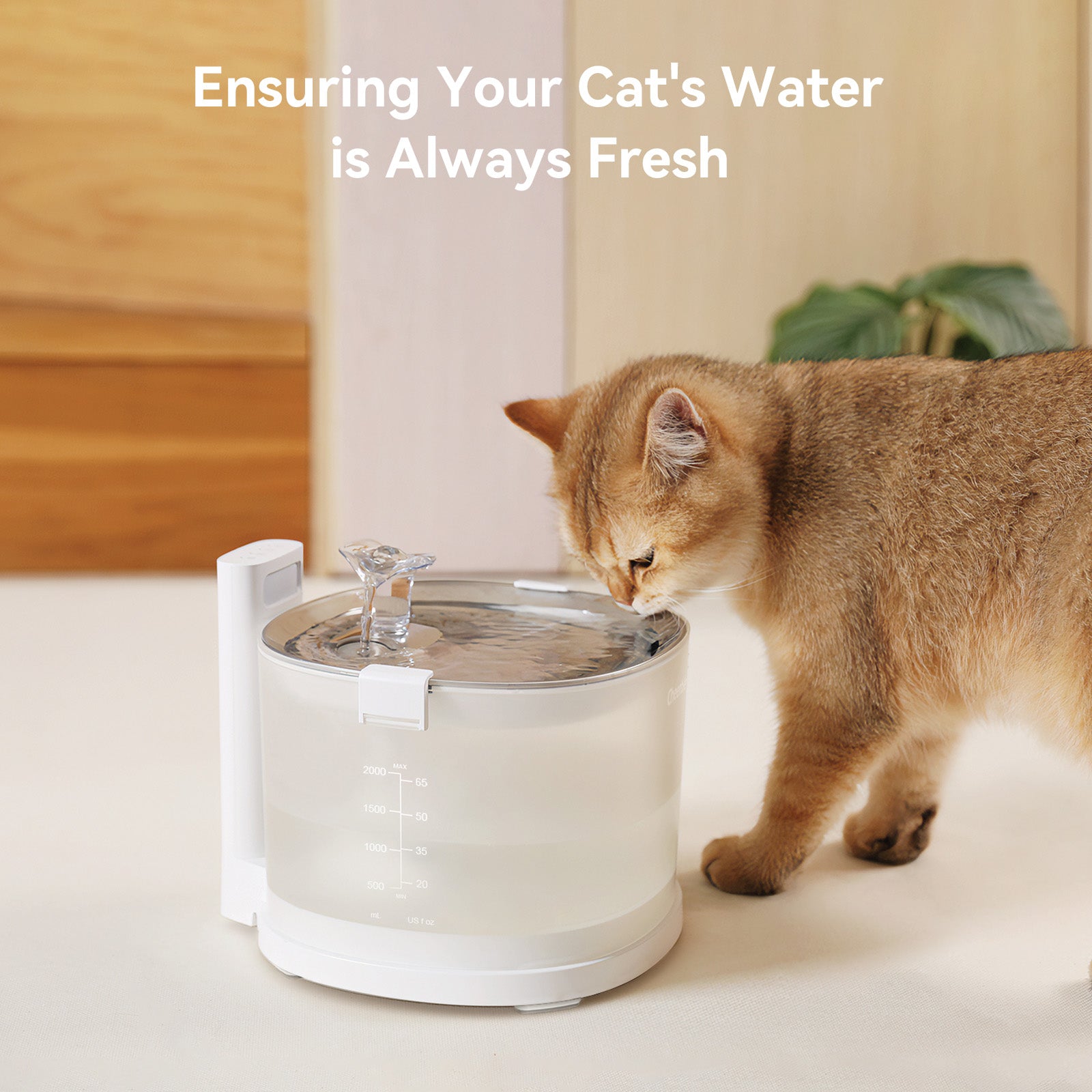 Cat drinking from a Cheerble Pet Fountain.