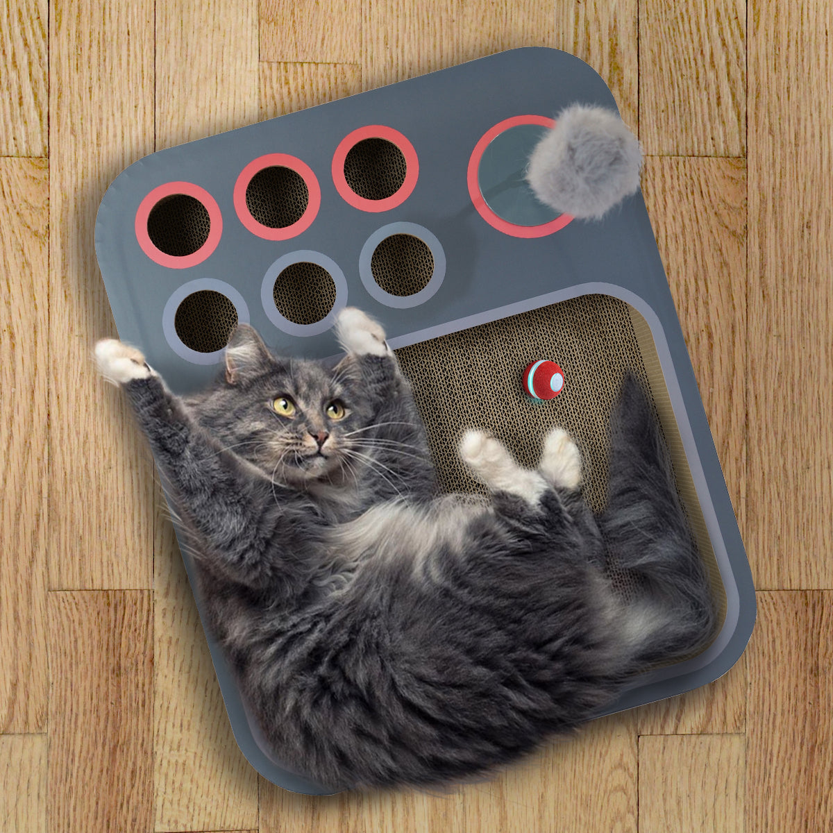 Happy cat playing with Cheerble 3-in-1 Board Game toy