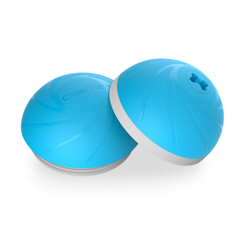 Blue Wicked Ball replacement shell for pets