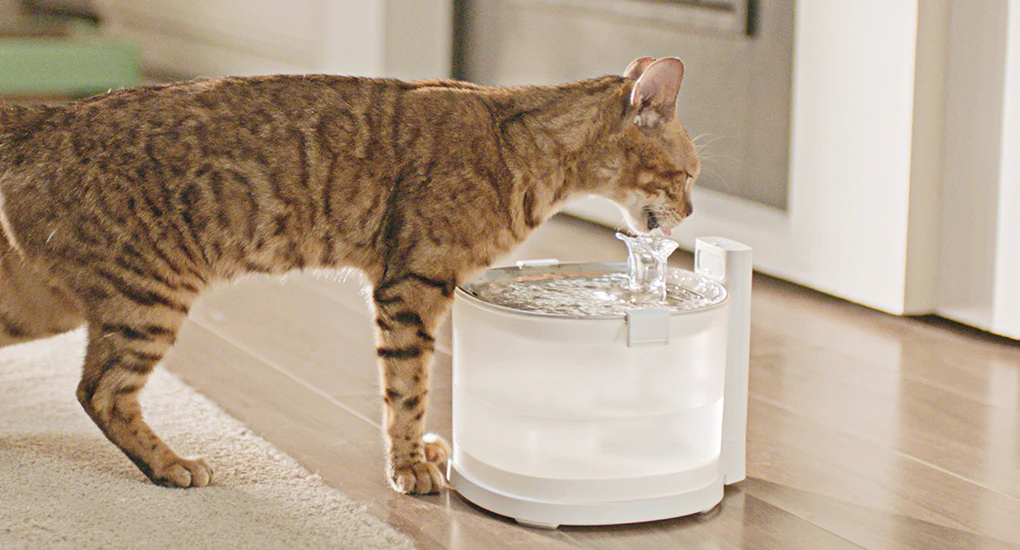 A tabby cat drinking water from an automatic pet water fountain on a wooden floor.