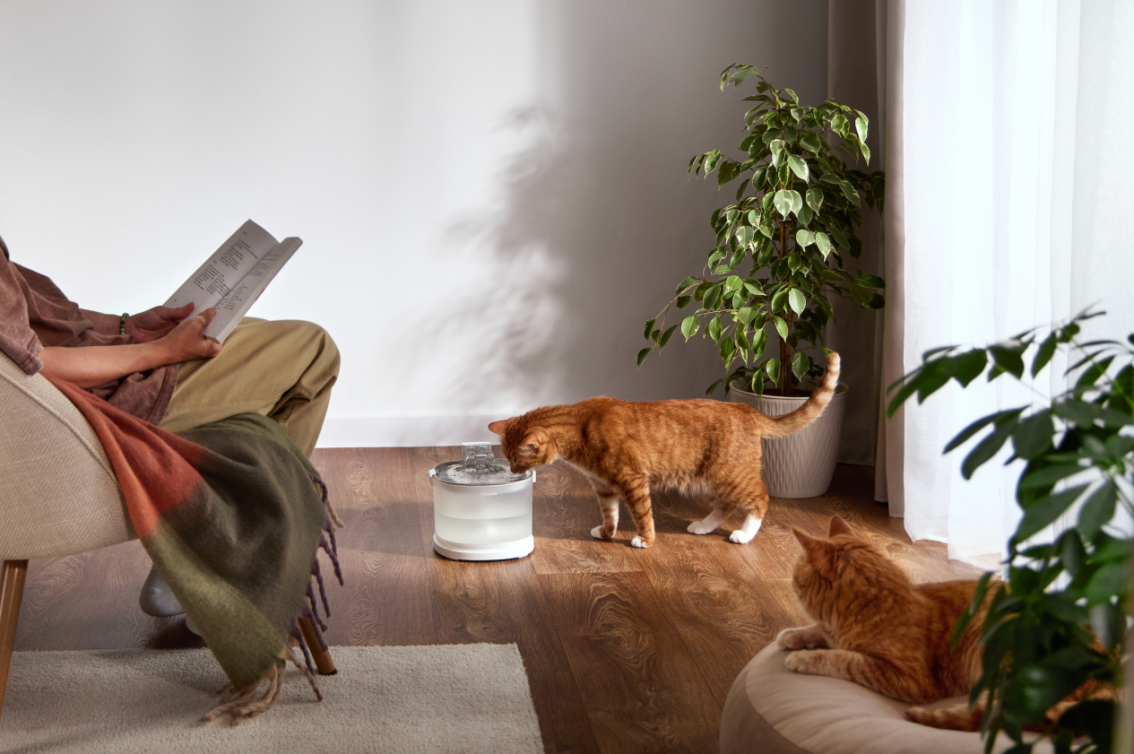 A ginger cat drinks water from a cat fountain next to his owner who is reading a newspaper