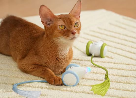 A curious orange cat playing with toys on a soft carpet