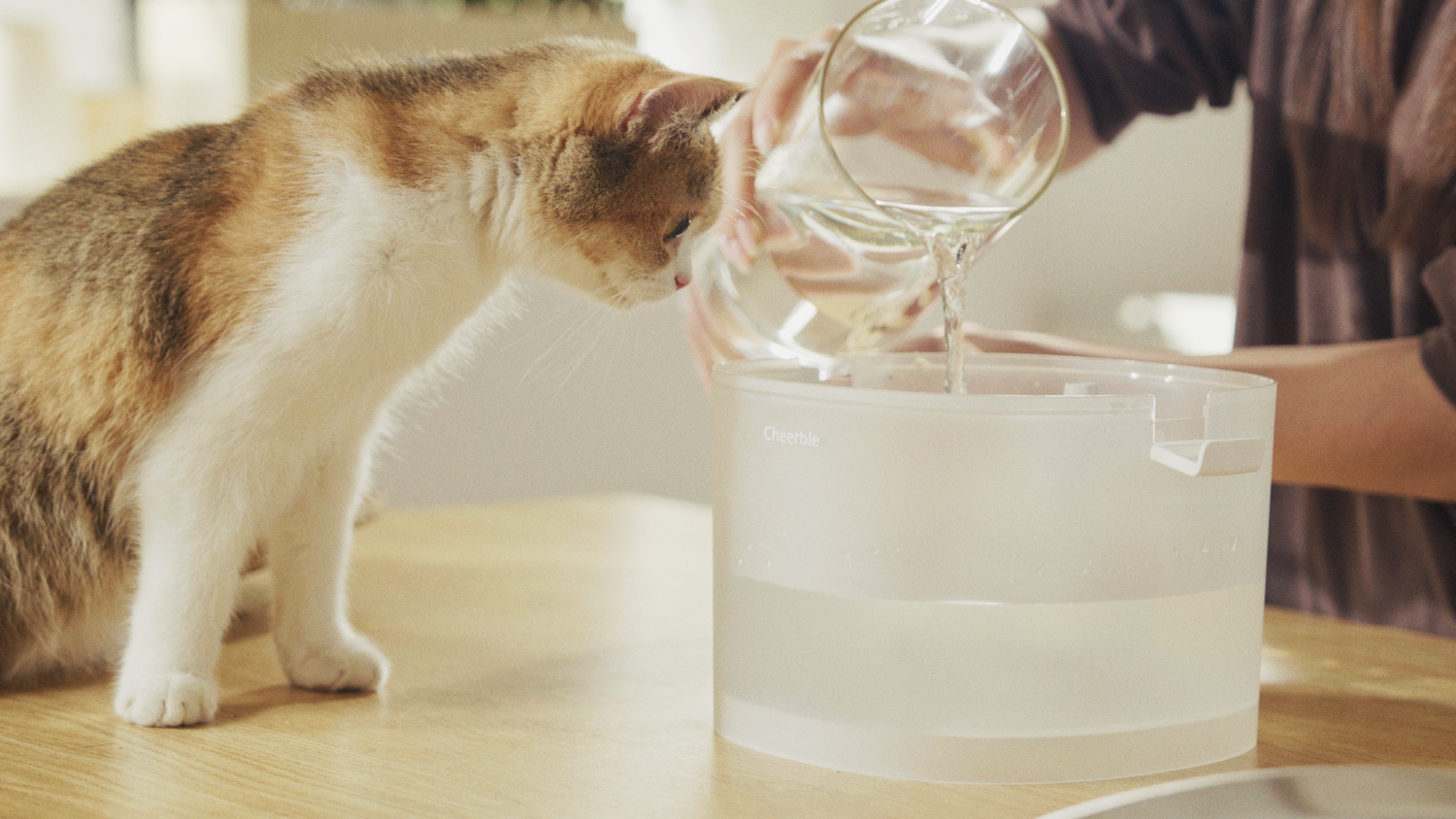 Boosting Hydration with the Best Cat Water Fountain for Urinary Health
