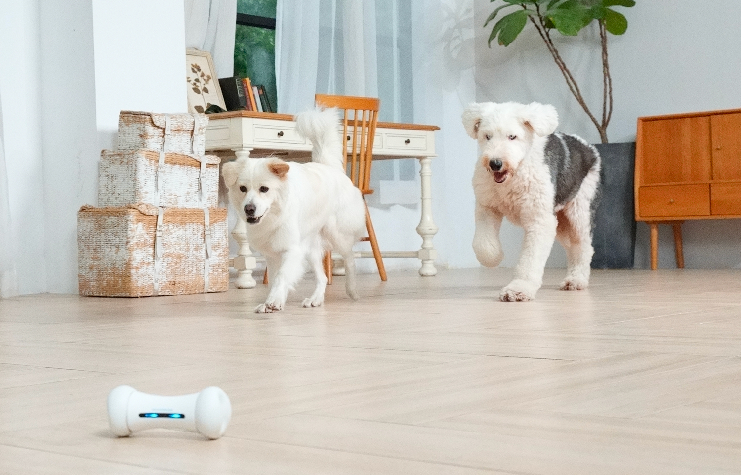 Keep Your Pup Mentally Stimulated and Engaged with Smart Dog Toys