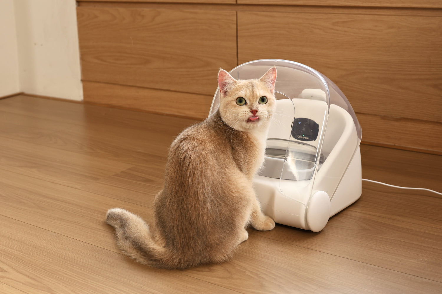 Cheerble World's first "Face ID" Smart Pet Feeder