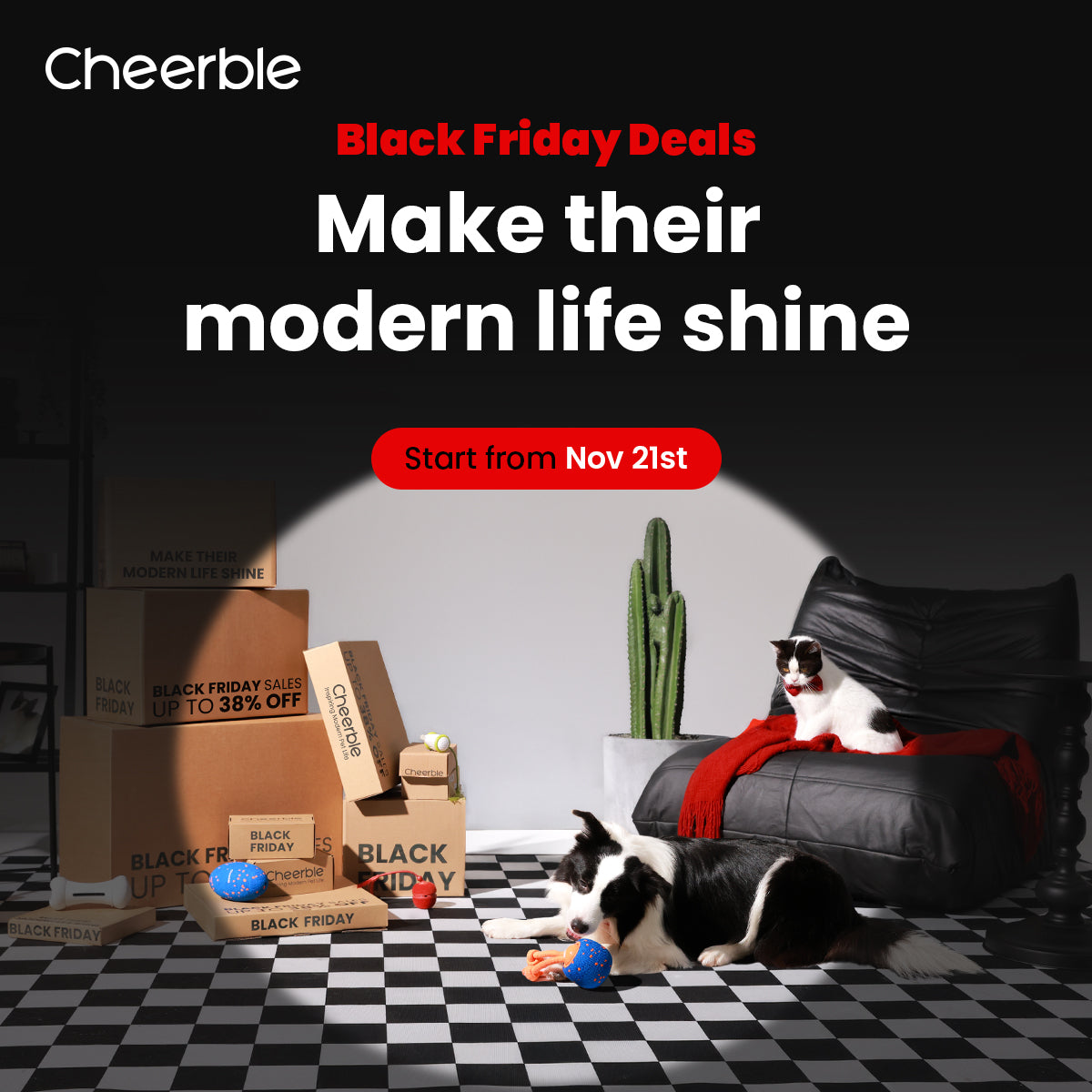 Cheerble Black Friday Sale: What to Buy and How to Choose
