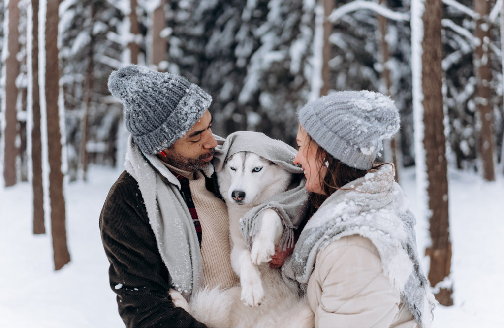 Tips for a happier winter with your pet