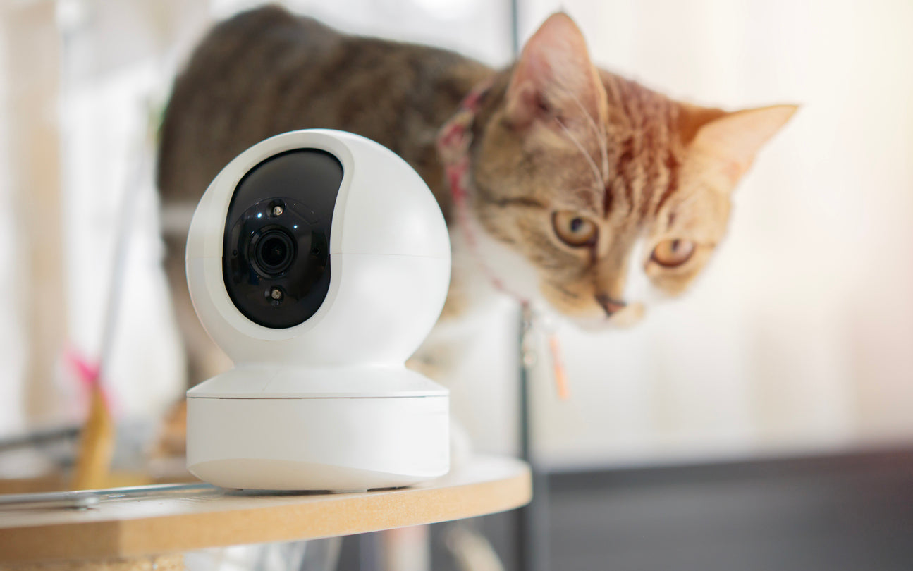 Traditional camera will cause data privacy problems in modern pet families.