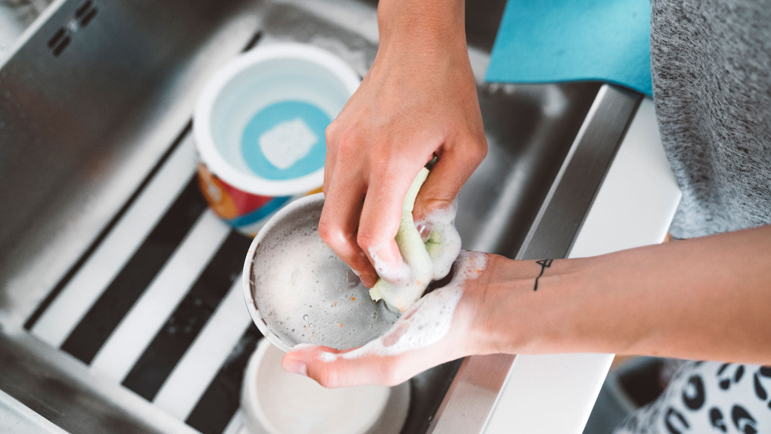 Cleaning your cat feeder properly.