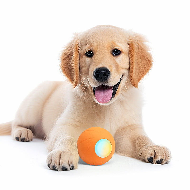 Puppy playing sale with ball