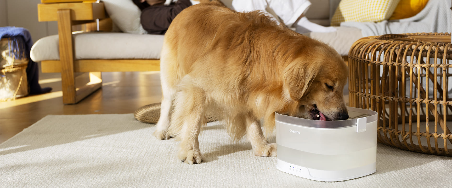 Cheerble - Innovative Pet Products