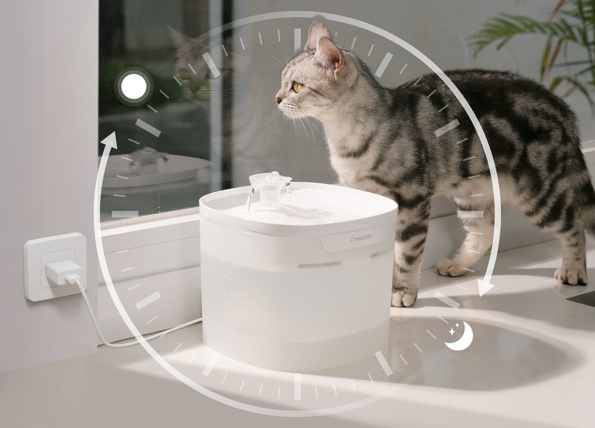 Pet Fountain Elfin E1 Lite | Fresh Water for Pets | Buy Now