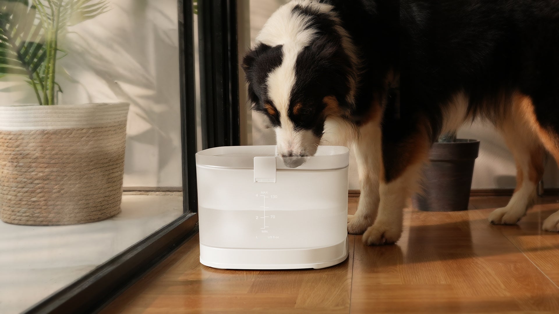 Pet Fountain Elfin D1 Pro Bundle | 8 Replacement Filters