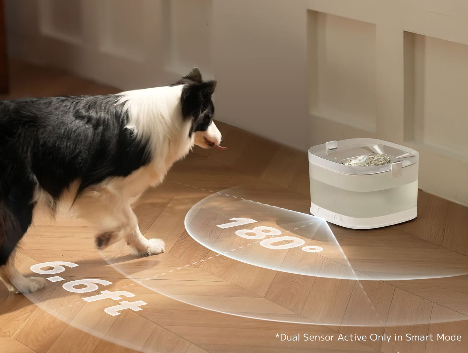 ペット給水器 Elfin D1 Pro｜愛犬用新鮮なお水｜今すぐ購入