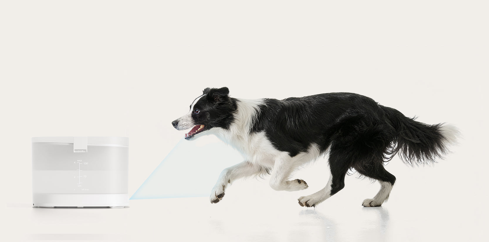 ペット給水器 Elfin D1 Pro｜愛犬用新鮮なお水｜今すぐ購入