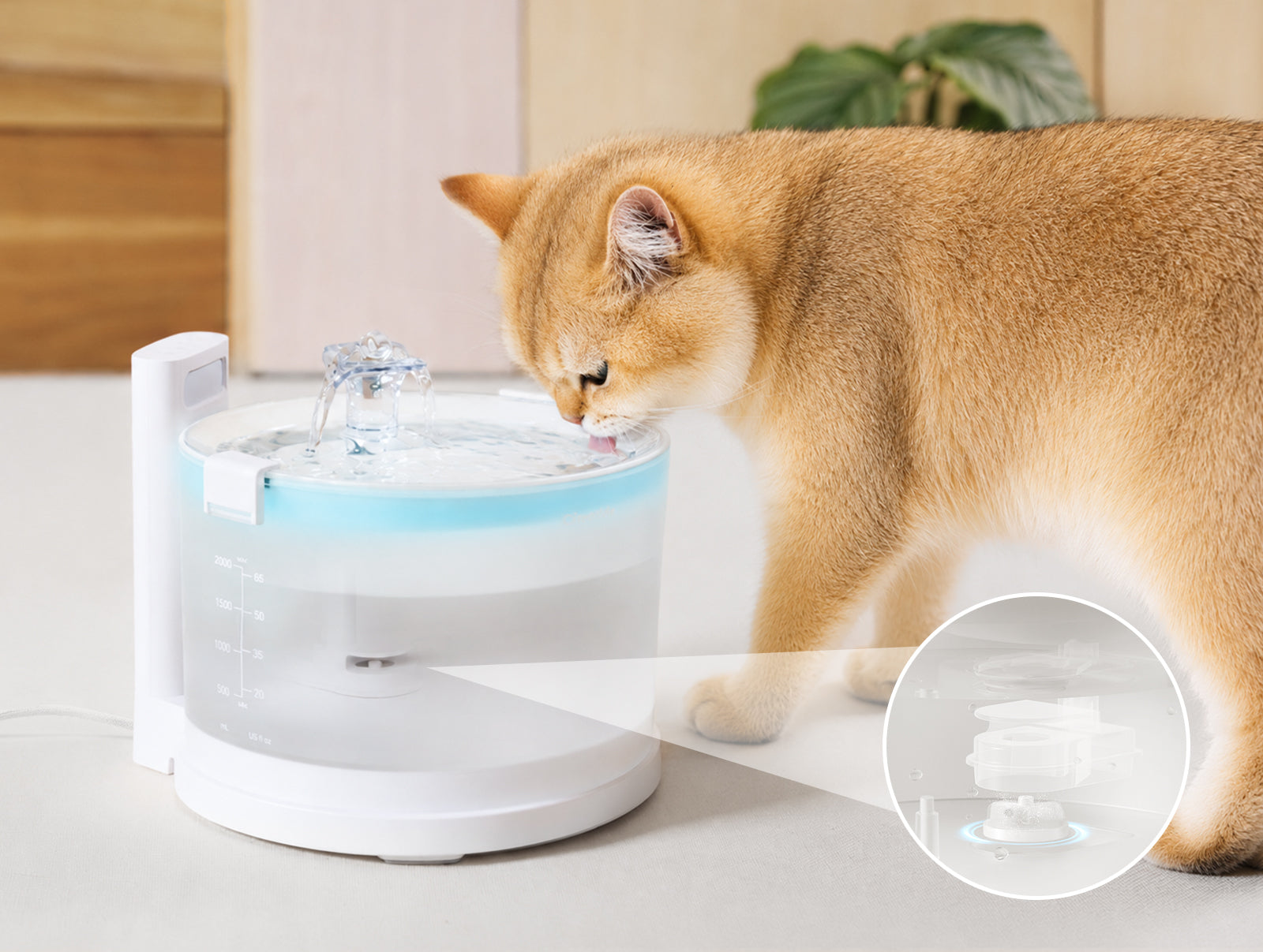 Pet Fountain Elfin E1 | Clean Water, Happy Pets!