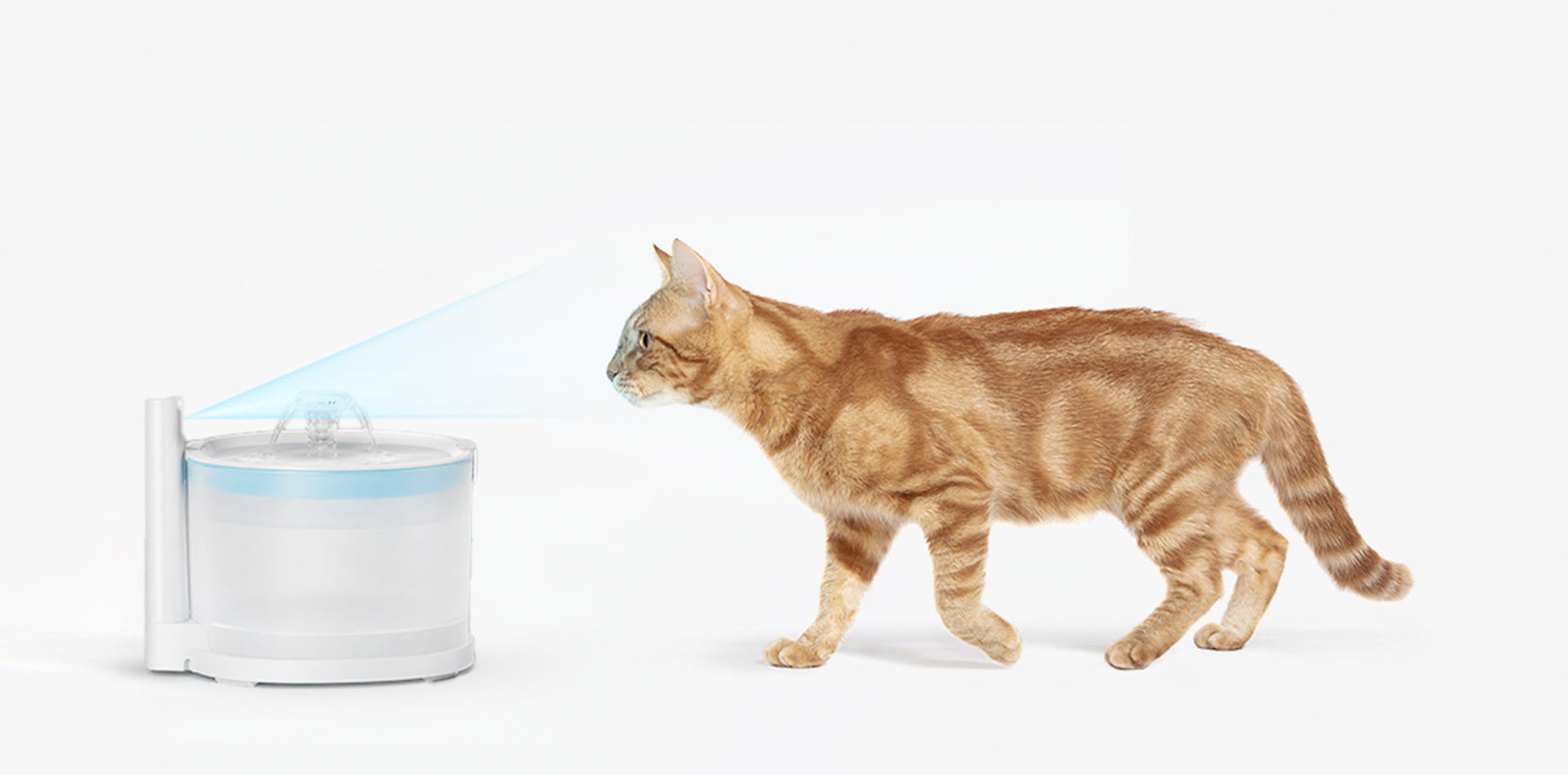 Pet Fountain Elfin E1 | Clean Water, Happy Pets!