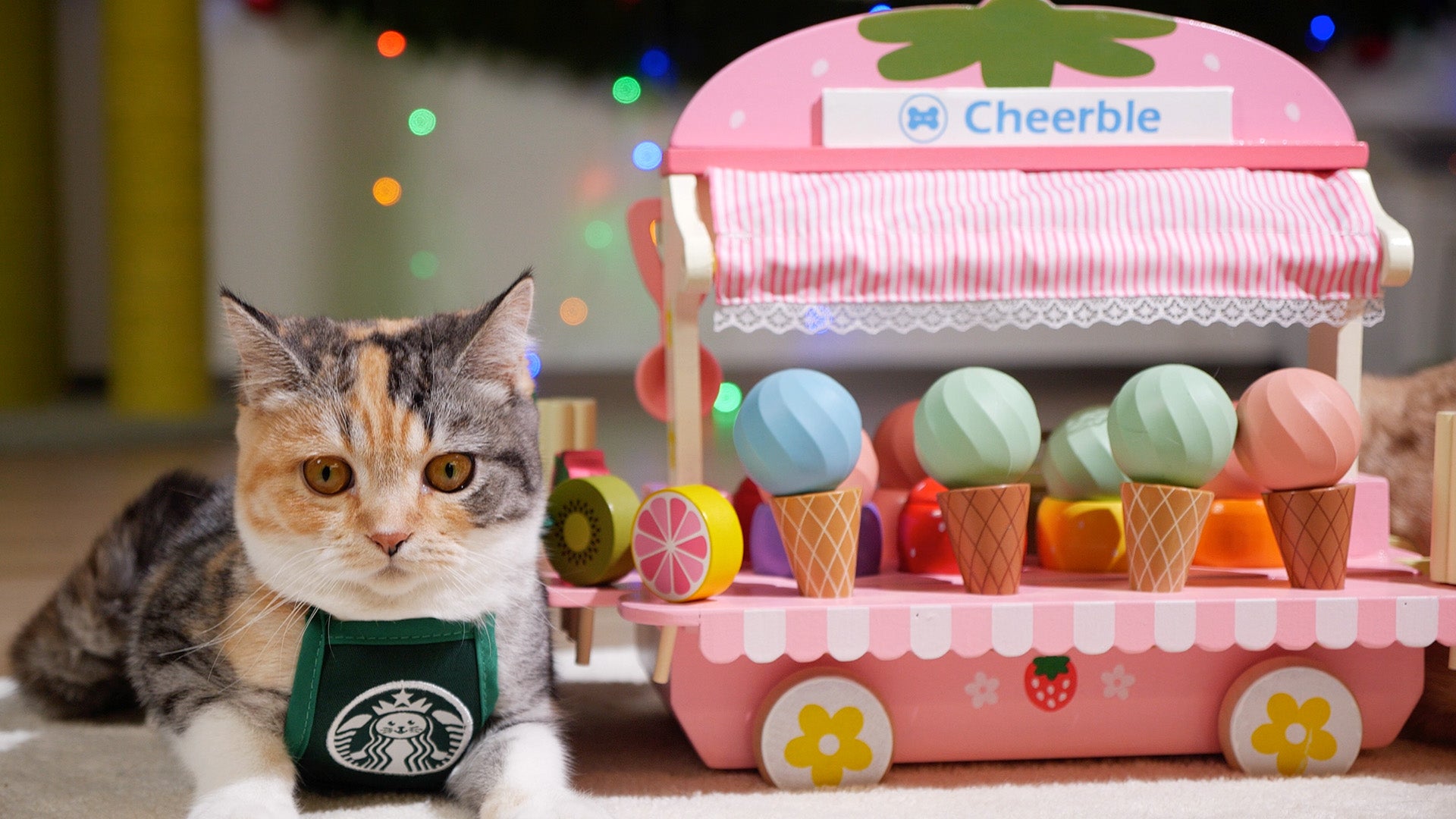 Ice Cream Cat Ball Toy | Fun Playtime