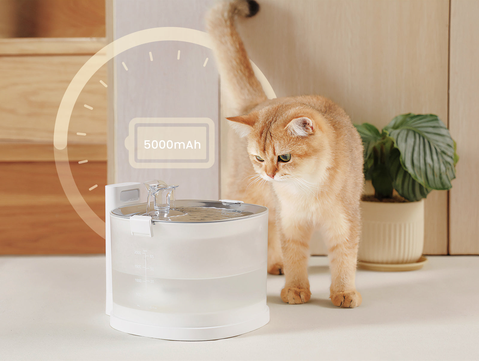 Pet Fountain Elfin E1+ Bundle | 8 Replacement Filters