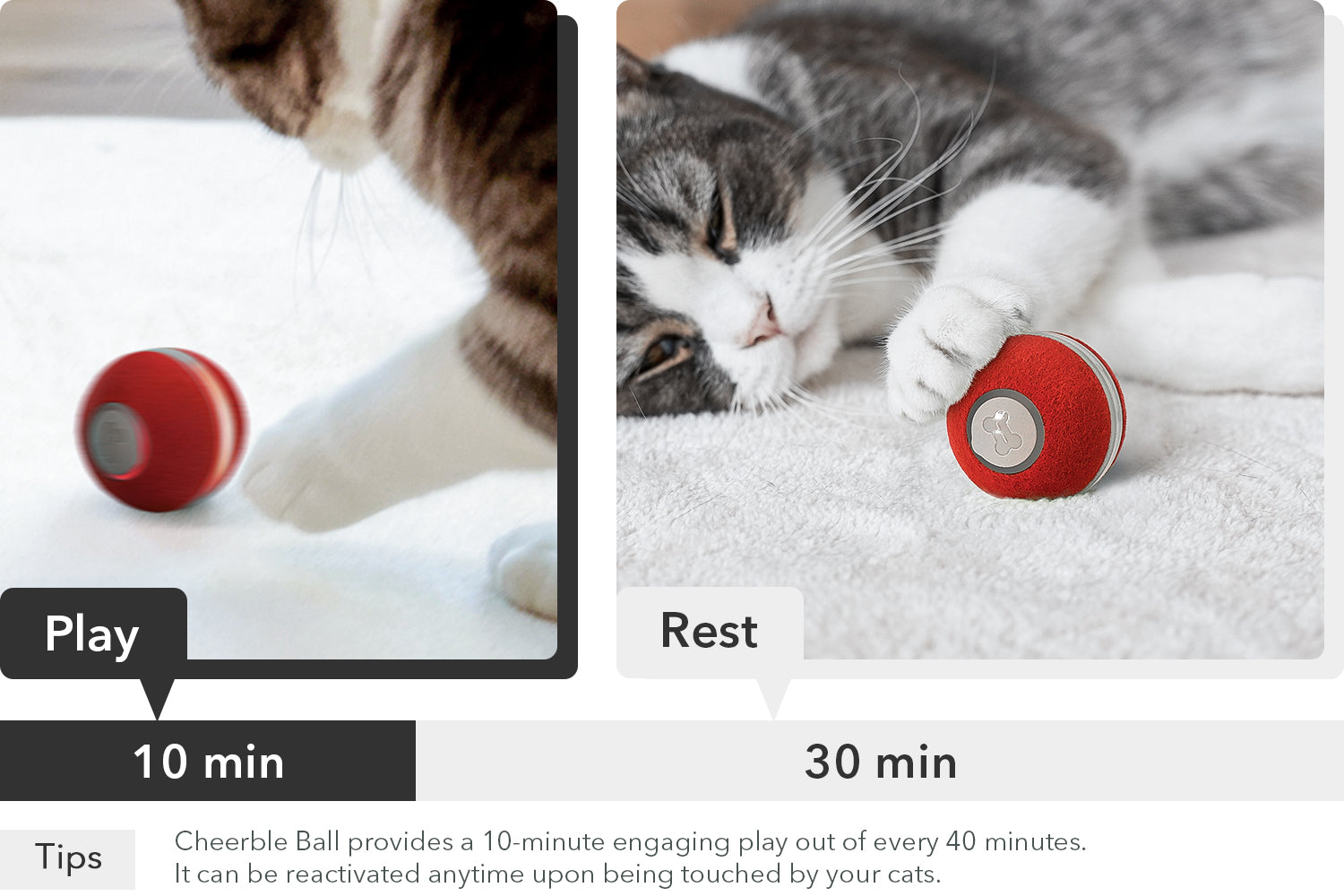 Cheerble Ball Tiny Smart Ball for Your Cat s Entertainment