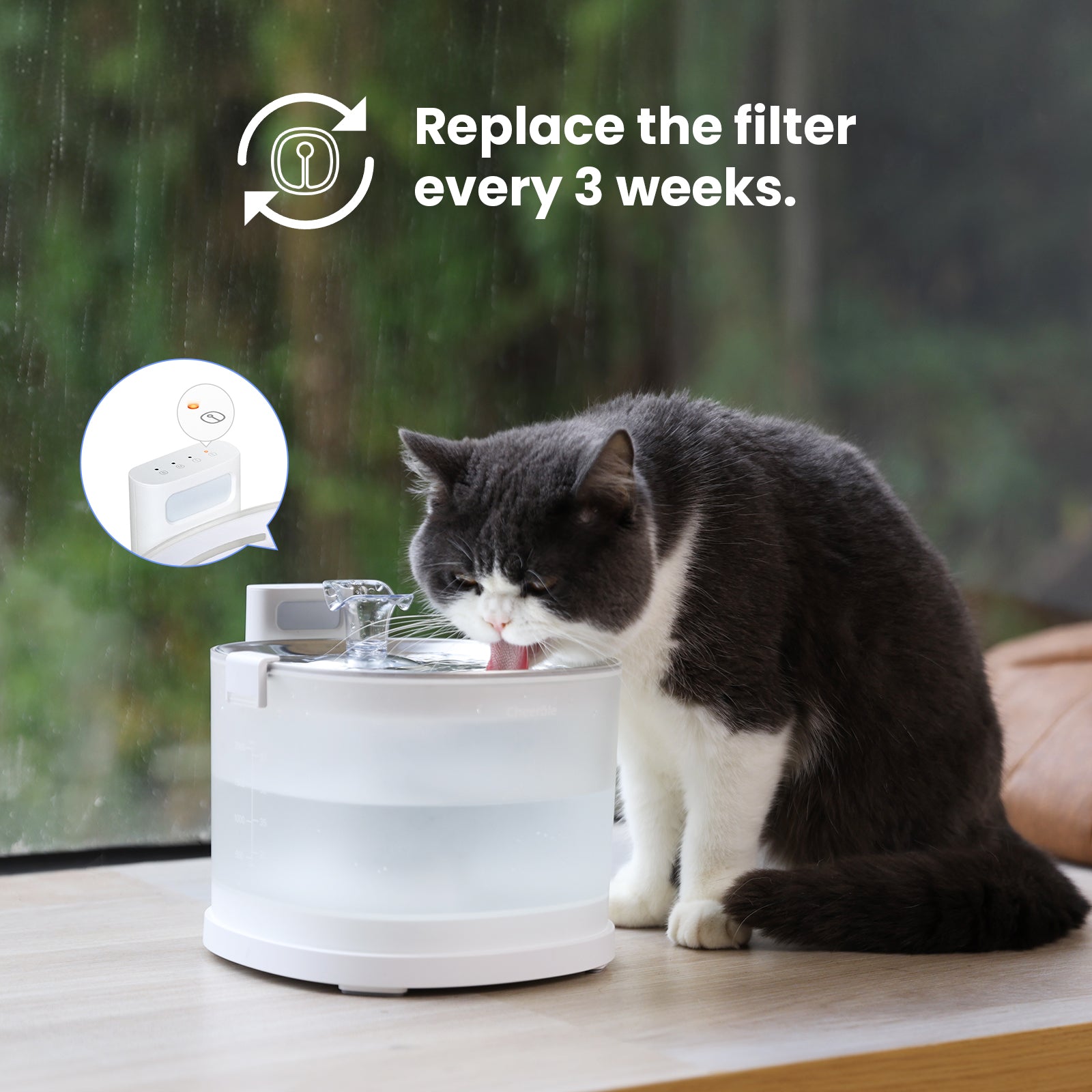 Pet Fountain Replacement Filters