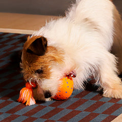 #Color_Bright Orange