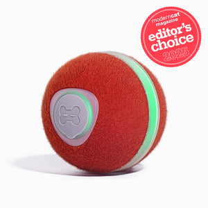 Wicked Ball M3 - Interactive cat toy, Editor's Choice 2025