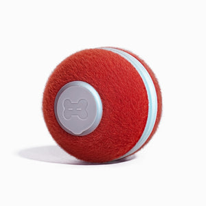 Cheerble Ball M1: Interactive cat toy