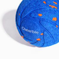 Wicked Ball Air